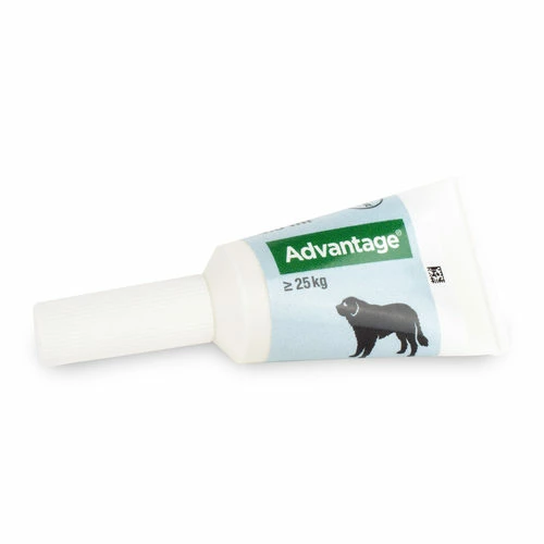 Advantage Hund 11 Advantage Hund – Bild 9
