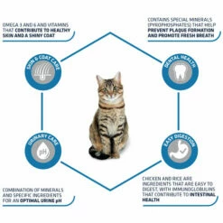 Affinity Advance Adult Huhn & Reis - Katze -Trixie Verkäufe 2024 affinity advance adult kip en rijst kat 178249 0500 none