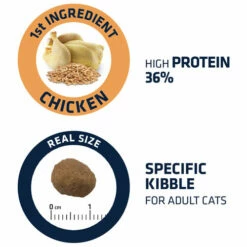 Affinity Advance Adult Huhn & Reis - Katze -Trixie Verkäufe 2024 affinity advance adult kip en rijst kat 178252 0500 none