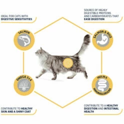 Affinity Advance Adult Salmon Sensitive - Katze -Trixie Verkäufe 2024 affinity advance adult salmon sensitive kat 178666 0500 none