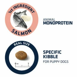 Affinity Advance Puppy Sensitive Lachs & Reis -Trixie Verkäufe 2024 affinity advance puppy sensitive zalm en rijst 177883 0500 none