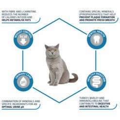 Affinity Advance Sterilized Pute - Katze -Trixie Verkäufe 2024 affinity advance sterilized kalkoen kat 178201 0500 none