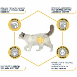 Affinity Advance Sterilized Salmon Sensitive - Katze -Trixie Verkäufe 2024 affinity advance sterilized salmon sensitive kat 178282 0500 none