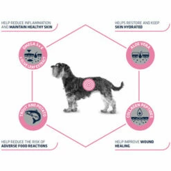 Affinity Advance Veterinary Diets Atopic Mini Hund 15 Affinity Advance Veterinary Diets Atopic Mini Hund -Trixie Verkäufe 2024 affinity advance veterinary diets atopic mini hond 177538 0500 none