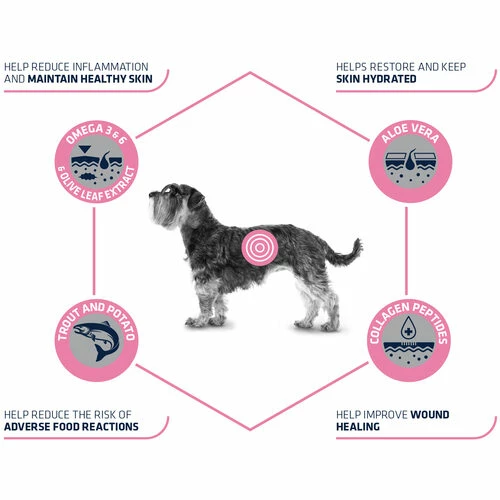 Affinity Advance Veterinary Diets Atopic Mini Hund 9 Affinity Advance Veterinary Diets Atopic Mini Hund – Bild 7