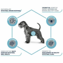 Affinity Advance Veterinary Diets Gastroenteric Hund -Trixie Verkäufe 2024 affinity advance veterinary diets gastroenteric hond 177655 0500 none
