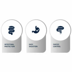 Affinity Advance Veterinary Diets Gastroenteric Hund -Trixie Verkäufe 2024 affinity advance veterinary diets gastroenteric hond 177658 0500 none