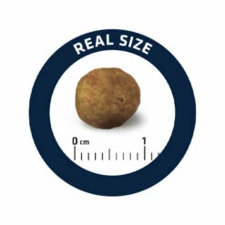 Affinity Advance Veterinary Diets Gastroenteric Hund -Trixie Verkäufe 2024 affinity advance veterinary diets gastroenteric hond 177679 0500 none