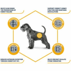 Affinity Advance Veterinary Diets Renal Hund 14 Affinity Advance Veterinary Diets Renal Hund -Trixie Verkäufe 2024 affinity advance veterinary diets renal hond 177343 0500 none
