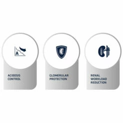 Affinity Advance Veterinary Diets Renal Hund 15 Affinity Advance Veterinary Diets Renal Hund -Trixie Verkäufe 2024 affinity advance veterinary diets renal hond 177346 0500 none