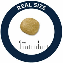 Affinity Advance Veterinary Diets Renal Hund 16 Affinity Advance Veterinary Diets Renal Hund -Trixie Verkäufe 2024 affinity advance veterinary diets renal hond 177349 0500 none