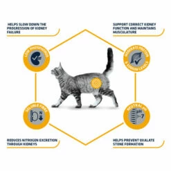 Affinity Advance Veterinary Diets Renal Katze -Trixie Verkäufe 2024 affinity advance veterinary diets renal kat 176884 0500 none