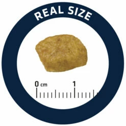 Affinity Advance Veterinary Diets Renal Katze -Trixie Verkäufe 2024 affinity advance veterinary diets renal kat 176890 0500 none