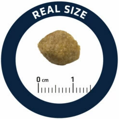 Affinity Advance Veterinary Diets Urinary Hund 17 Affinity Advance Veterinary Diets Urinary Hund -Trixie Verkäufe 2024 affinity advance veterinary diets urinary hond 177694 0500 none