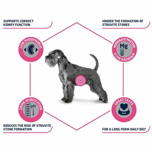 Affinity Advance Veterinary Diets Urinary Hund 5 Affinity Advance Veterinary Diets Urinary Hund – Bild 3