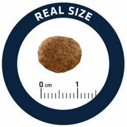 Affinity Advance Veterinary Diets Urinary Stress Katze -Trixie Verkäufe 2024 affinity advance veterinary diets urinary stress kat 176821 0500 none