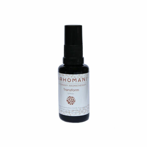 Arhomani Transform 3 Arhomani Transform