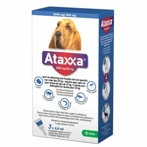 Ataxxa 5 Ataxxa – Bild 3