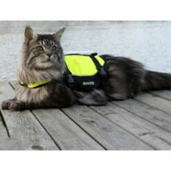 Baltic Katzen-Schwimmweste Maja -Trixie Verkäufe 2024 baltic kattenzwemvest maja 178984 0500 none