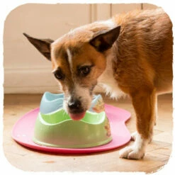 Beco Non Slip Placemat -Trixie Verkäufe 2024 beco non slip placemat 135883 0500 none