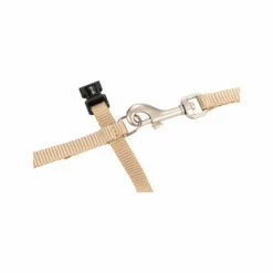 Beeztees Nylon Katzengeschirr Uni - Beige -Trixie Verkäufe 2024 beeztees nylon kattentuig uni beige 186637 0500 none