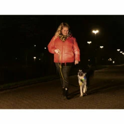 Beeztees Safety Gear Parinca Premium Hundeleine -Trixie Verkäufe 2024 beeztees safety gear parinca premium hondenriem 215042 0500 none