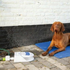 Beeztees Splashy Water Fountain -Trixie Verkäufe 2024 beeztees splashy waterfontein 163285 0500 none