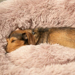 Beeztees Yali Plüsch-Donut-Bett - Grau -Trixie Verkäufe 2024 beeztees yali pluche donutmand 216351 0500 none