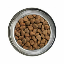 Belcando Adult Getreidefreies Hundefutter 18 Belcando Adult Getreidefreies Hundefutter -Trixie Verkäufe 2024 belcando adult graanvrij 217776 0500 none