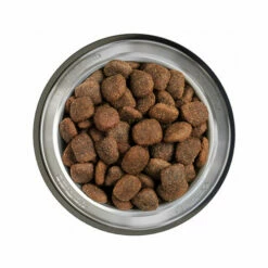 Belcando Adult Getreidefreies Hundefutter 16 Belcando Adult Getreidefreies Hundefutter -Trixie Verkäufe 2024 belcando adult graanvrij 217780 0500 none