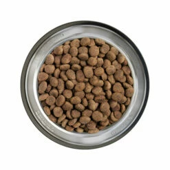 Belcando Finest Croc -Trixie Verkäufe 2024 belcando finest croc 217628 0500 none