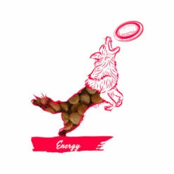 Calibra Dog Expert Nutrition Energy -Trixie Verkäufe 2024 calibra dog expert nutrition energy 163534 0500 none