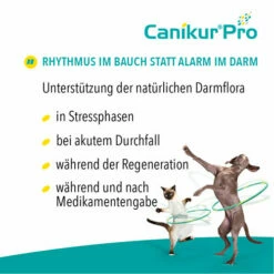 Canikur® Pro Diät-Ergänzungsfuttermittel Für Hunde 9 Canikur® Pro Diät-Ergänzungsfuttermittel Für Hunde -Trixie Verkäufe 2024 canikur pro 213692 0500 none
