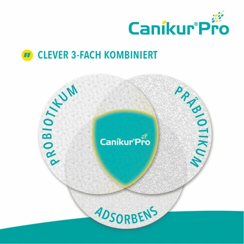 Canikur® Pro Diät-Ergänzungsfuttermittel Für Hunde 6 Canikur® Pro Diät-Ergänzungsfuttermittel Für Hunde – Bild 4