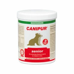 Canipur Senior