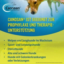 Canosan® Kautabletten Für Hunde -Trixie Verkäufe 2024 canosan kauwtabletten voor hond 213635 0500 none