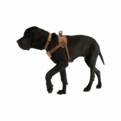 Carhartt Work Dog Harness -Trixie Verkäufe 2024 carhartt work dog harness 186805 0500 none