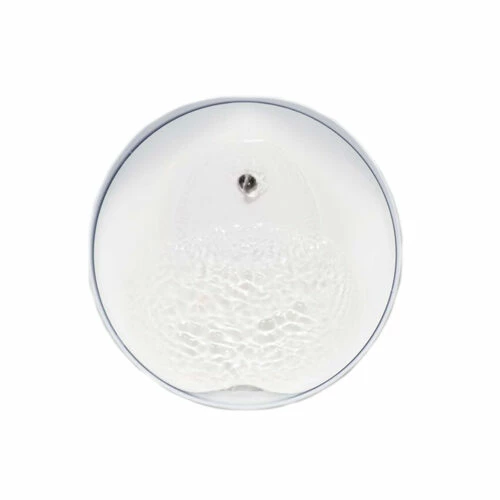 Catit PIXI Trinkbrunnen 7 Catit PIXI Trinkbrunnen – Bild 5