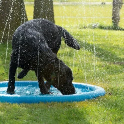 CoolPets Splash Pool Water Sprinkler -Trixie Verkäufe 2024 coolpets splash pool sproeier 174286 0500 none