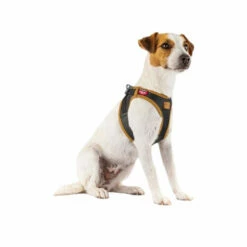 Curli Vegan Apple Leather Geschirr 9 Curli Vegan Apple Leather Geschirr -Trixie Verkäufe 2024 curli harnas vegan appelleer 216631 0500 none