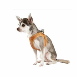 Curli Vegan Apple Leather Geschirr 8 Curli Vegan Apple Leather Geschirr -Trixie Verkäufe 2024 curli harnas vegan appelleer 216633 0500 none