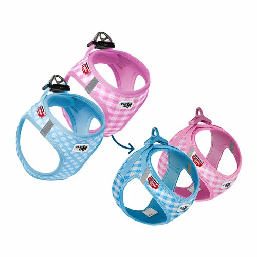Curli Vest Harness Air-Mesh & Leash Puppy Set