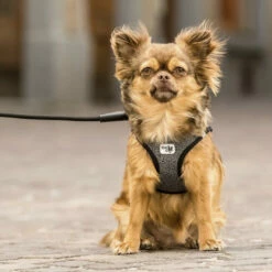 Curli Vest Harness Merino 19 Curli Vest Harness Merino -Trixie Verkäufe 2024 curli vest harness merino black 175270 0500 none