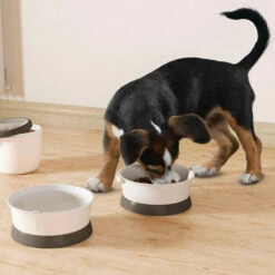 Curver Petlife Food Travelkit -Trixie Verkäufe 2024 curver petlife food travelkit 220776 0500 none