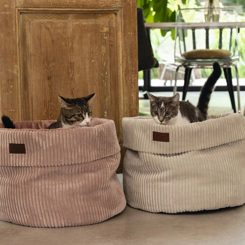 Designed By Lotte Gerippter Katzenkorb 10 Designed By Lotte Gerippter Katzenkorb – Bild 8