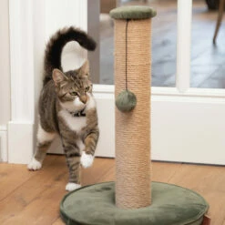 Designed By Lotte Kratzbaum Yenna 14 Designed By Lotte Kratzbaum Yenna -Trixie Verkäufe 2024 designed by lotte krabpaal yenna 164437 0500 none