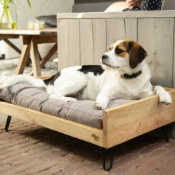 Designed By Lotte Hundebett Turana -Trixie Verkäufe 2024 designed by lotte ligmand turana 170029 0500 none