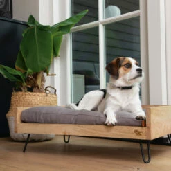 Designed By Lotte Hundebett Turana -Trixie Verkäufe 2024 designed by lotte ligmand turana 170032 0500 none