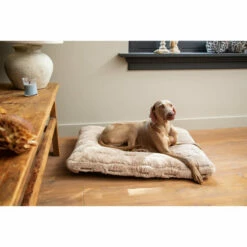 Designed By Lotte Xanti Hundekissen -Trixie Verkäufe 2024 designed by lotte xanti hondenkussen 188127 0500 none