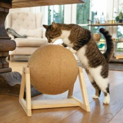 Designed By Lotte Xem Kratzkugel -Trixie Verkäufe 2024 designed by lotte xem krabbol 164833 0500 none